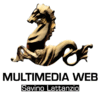 MULTIMEDIA WEB