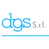 DGS SRL